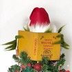 Christmas Tree Topper Funny Green Monster Hiding Behind Book Treetop Christmas Decoration
