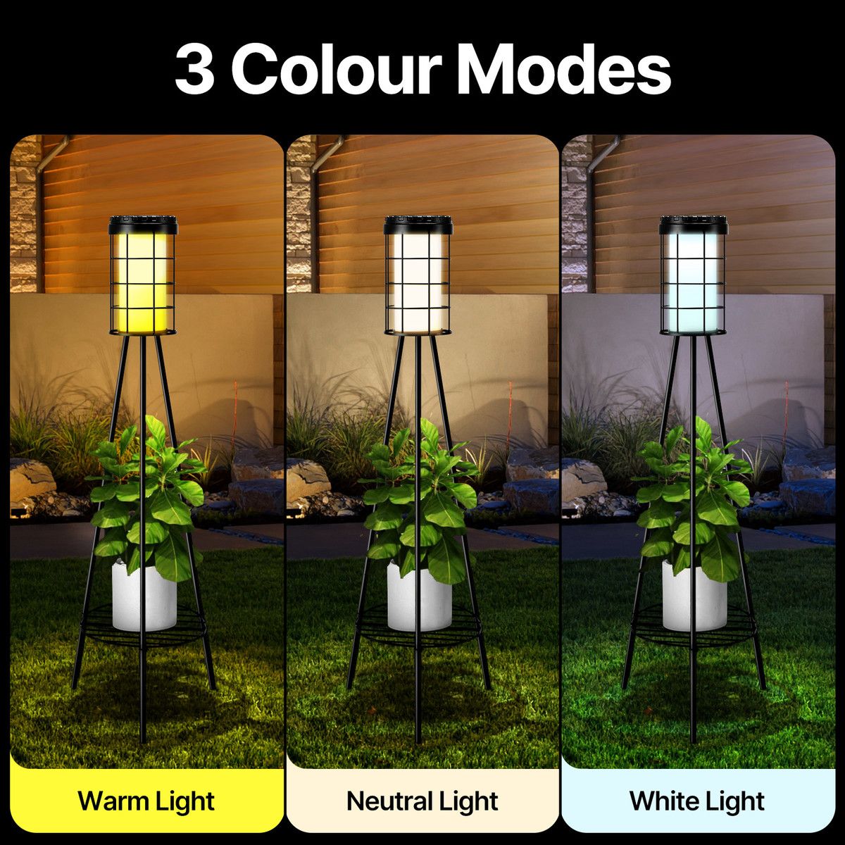 https://img.bestdeals.co.nz/products_pictures/796/79635_763119_F.jpg