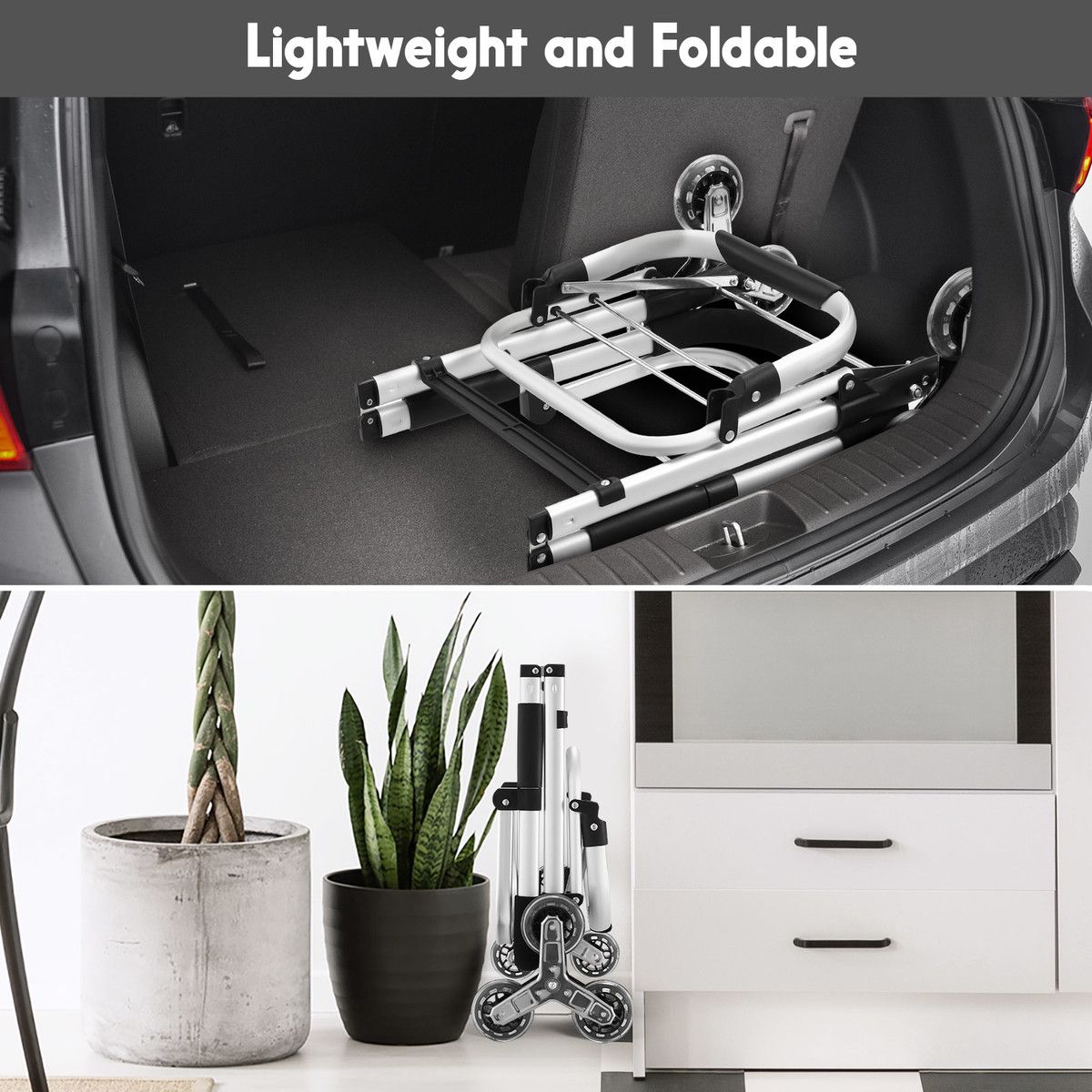 https://img.bestdeals.co.nz/products_pictures/796/79641_763236_F.jpg