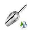 Metal Ice Scoop,Kitchen Ice Scooper for Ice Maker,Small Food Scoops for Bar Party Wedding Pet Dog Food,Stainless Steel Silver