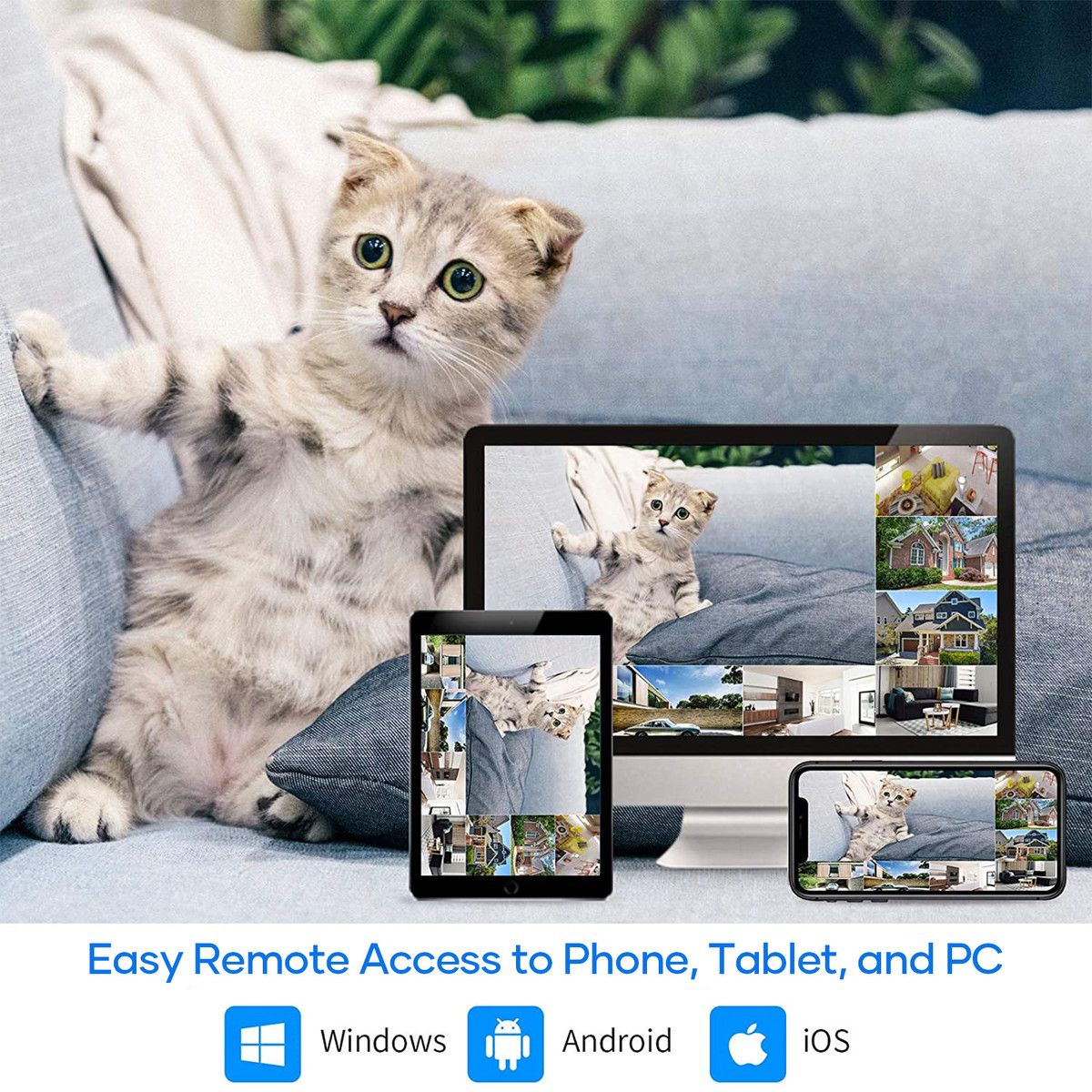 https://img.bestdeals.co.nz/products_pictures/797/79769_764690_F.jpg