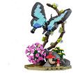 Butterfly Insect Collection Building Set with Music Display Box Bouquet Set for Kids 8+ Office Home Decor DIY Blocks Toy