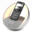 Bluetooth Speaker with Wireless Charger,Sunrise Simulation Wake Up Night Light for Bedroom Adjustable LED RGB Mode(Grey)