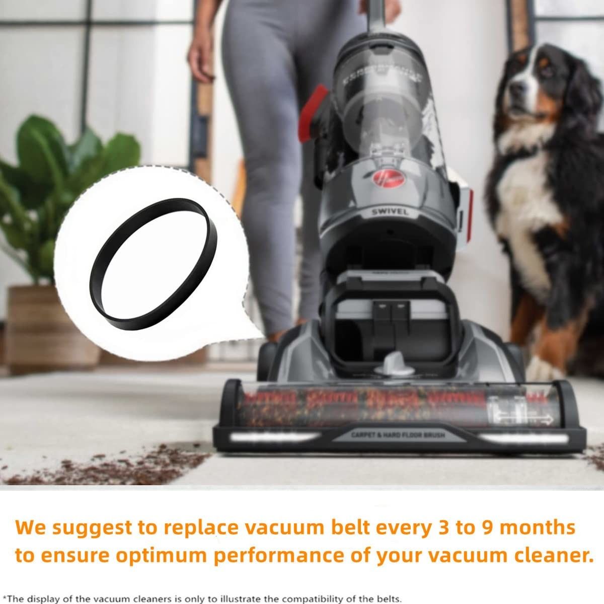 https://img.bestdeals.co.nz/products_pictures/799/79907_766100_F.jpg