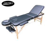 Portable 3-Section Massage Table Chair Bed Foldable &Carry Bag