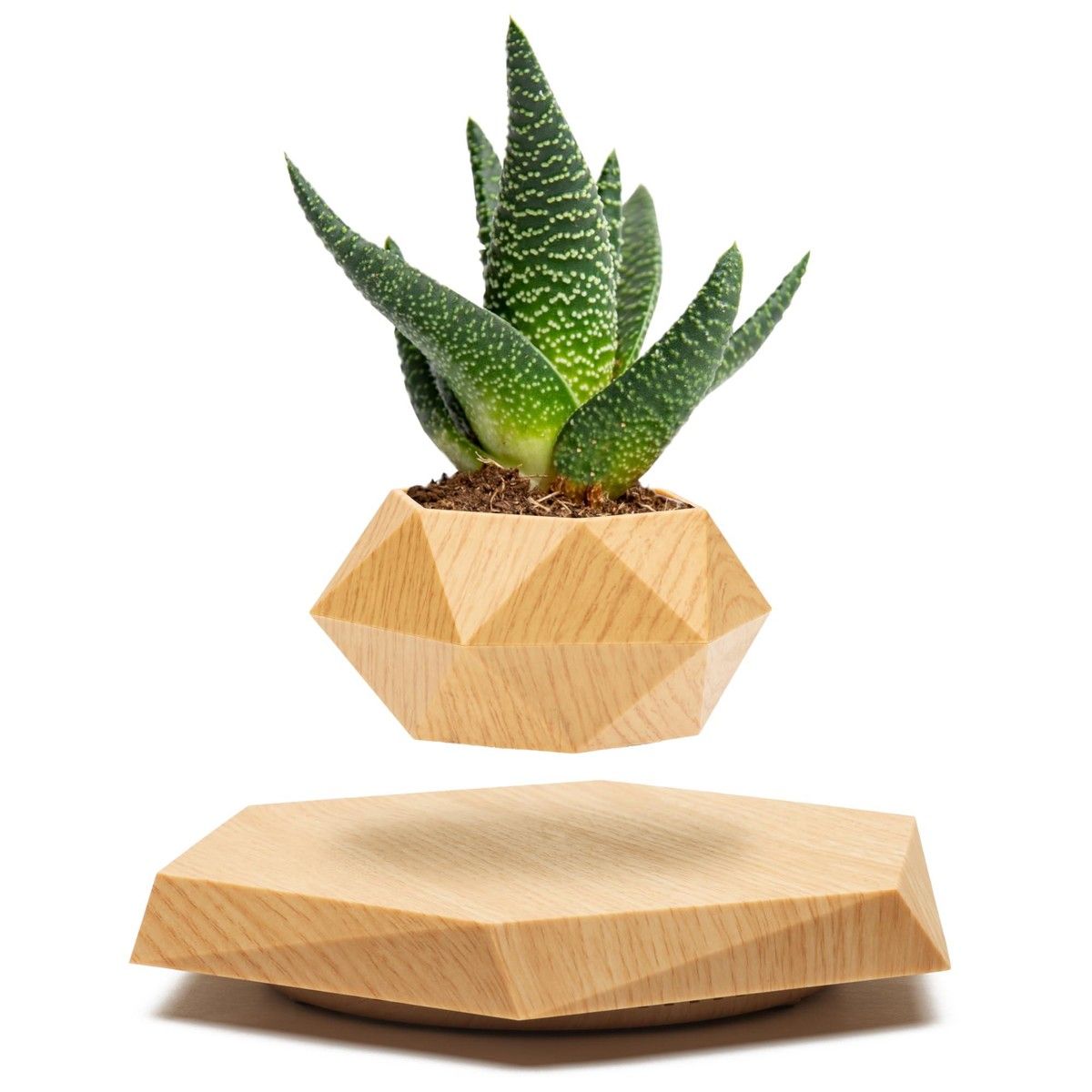 https://img.bestdeals.co.nz/products_pictures/802/80279_769304_F.jpg
