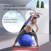 Extra Thick 65cm Exercise Ball: Versatile Yoga Ball Chair for Fitness and Stability Training