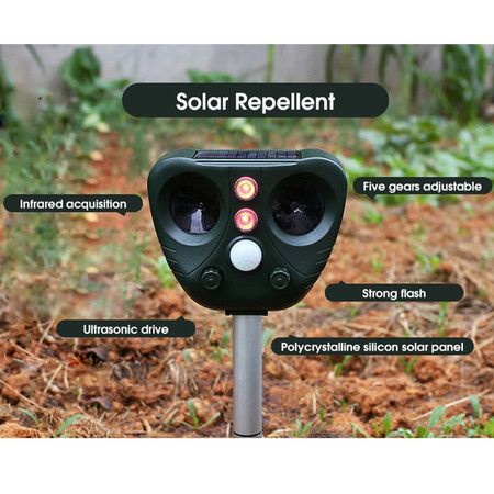 https://img.bestdeals.co.nz/products_pictures/803/80381_769956_F.jpg