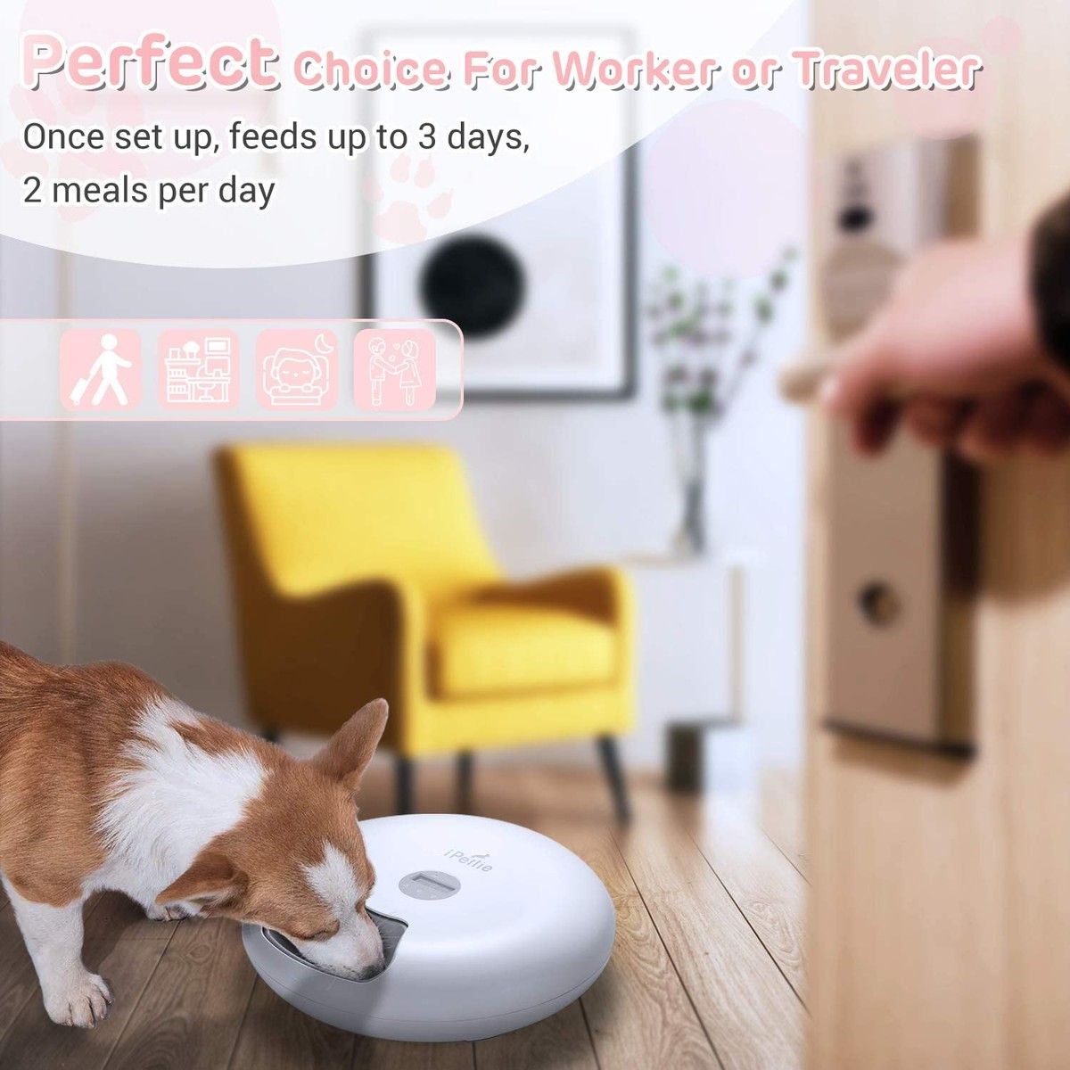 https://img.bestdeals.co.nz/products_pictures/803/80386_769994_F.jpg