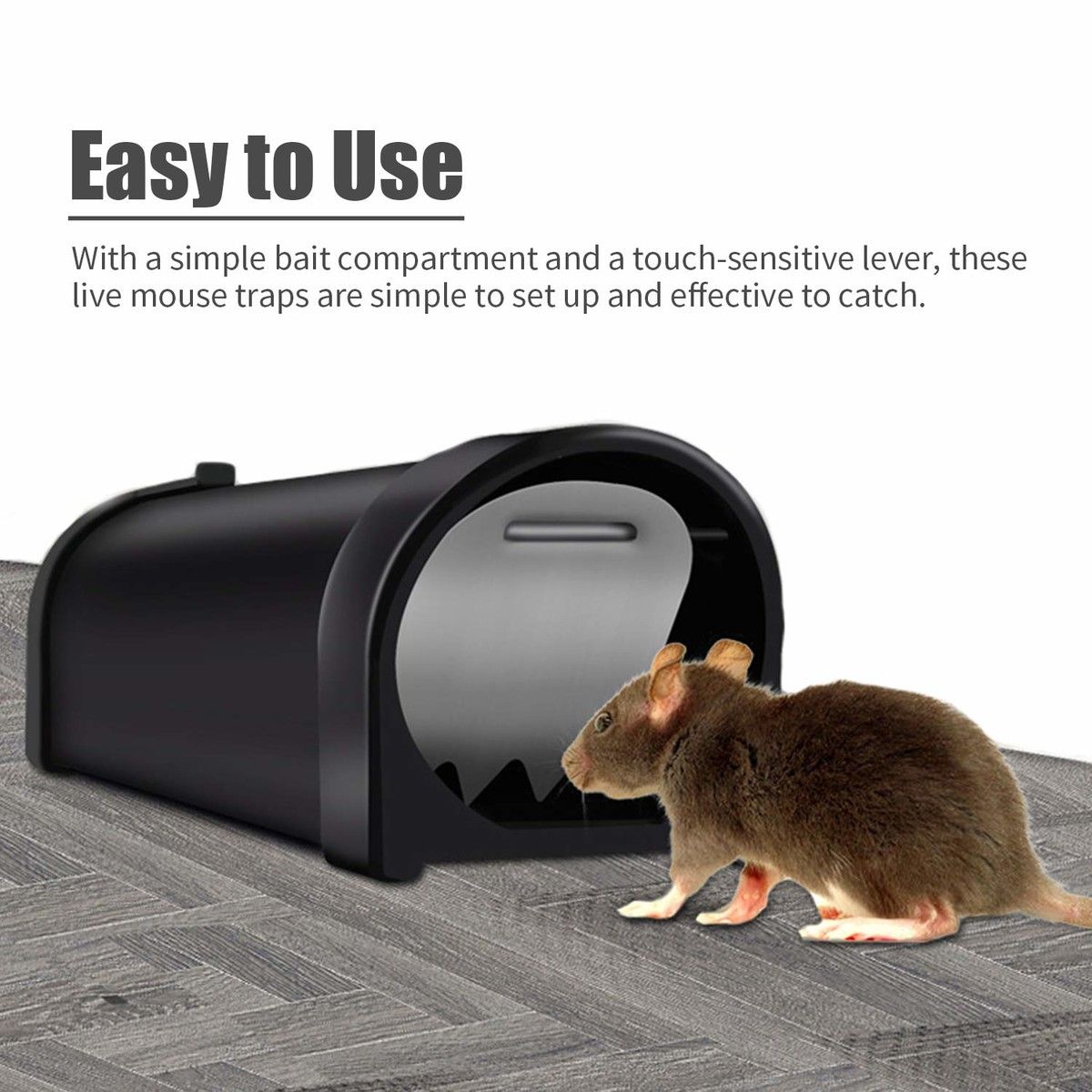 https://img.bestdeals.co.nz/products_pictures/804/80400_770077_F.jpg