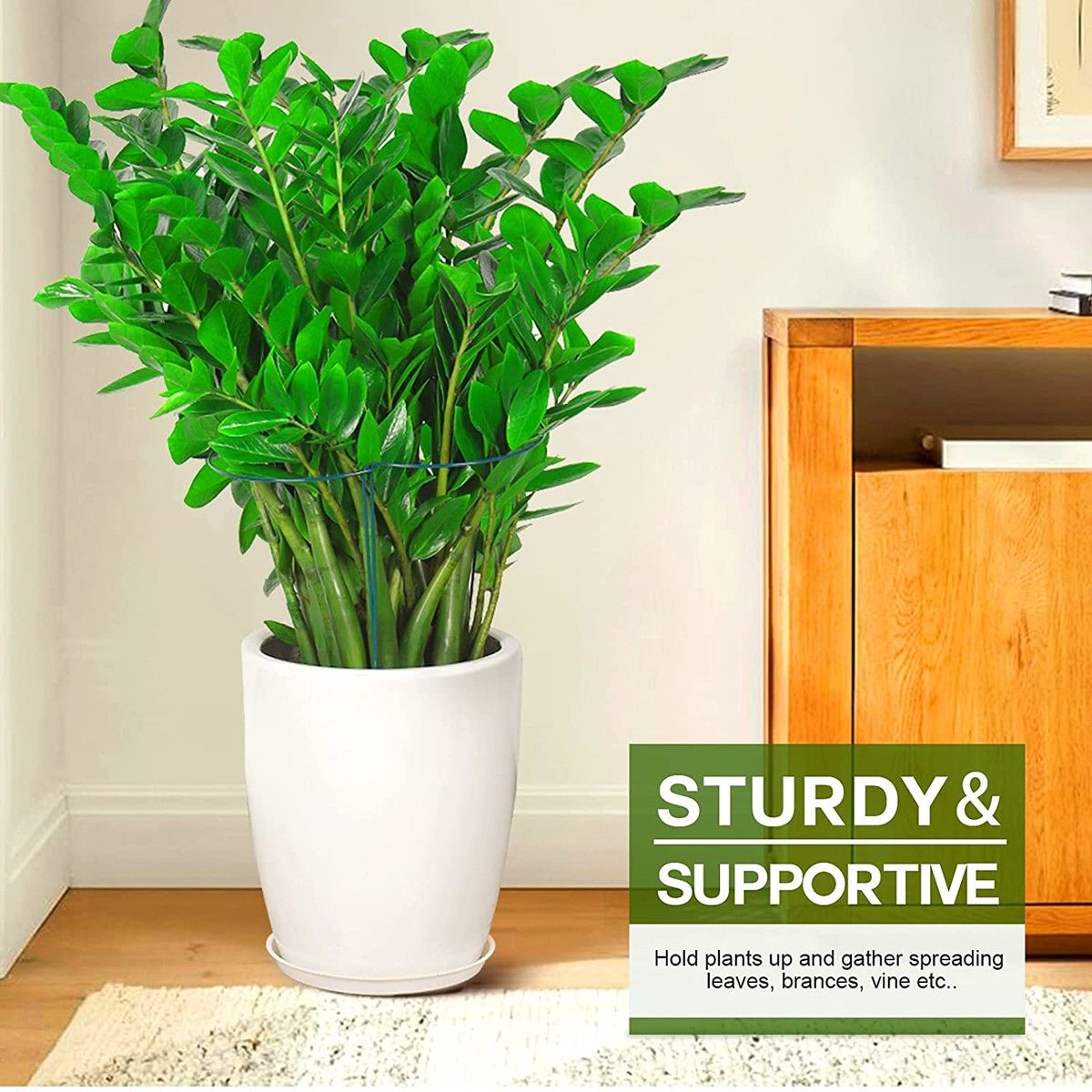 https://img.bestdeals.co.nz/products_pictures/804/80408_770128_F.jpg