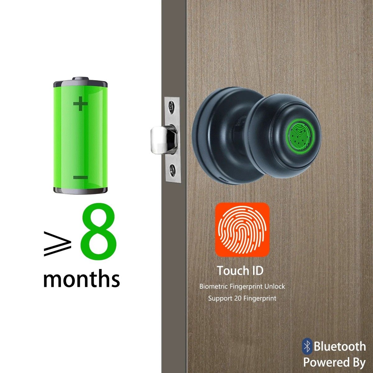 https://img.bestdeals.co.nz/products_pictures/805/80503_770734_F.jpg
