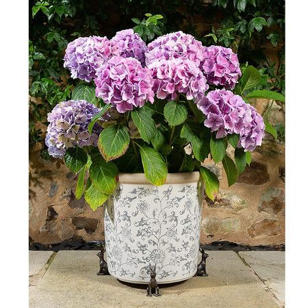 https://img.bestdeals.co.nz/products_pictures/806/80635_771574_F.jpg