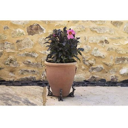 https://img.bestdeals.co.nz/products_pictures/806/80635_771575_F.jpg