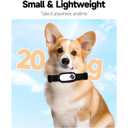 https://img.bestdeals.co.nz/products_pictures/807/80798_772635_F.jpg