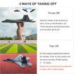 Ready-to-Fly F-22 RC Plane with 2.4GHz Remote Control Easy to Fly RC Glider