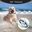 Anti-Bark Automatic Dog Bark Collar with Dual Vibration for Effective Training
