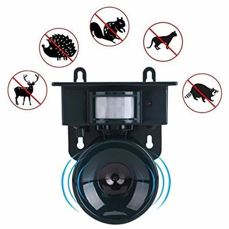 https://img.bestdeals.co.nz/products_pictures/809/80936_773573_F.jpg