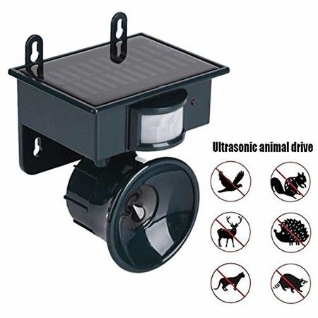 https://img.bestdeals.co.nz/products_pictures/809/80936_773575_F.jpg