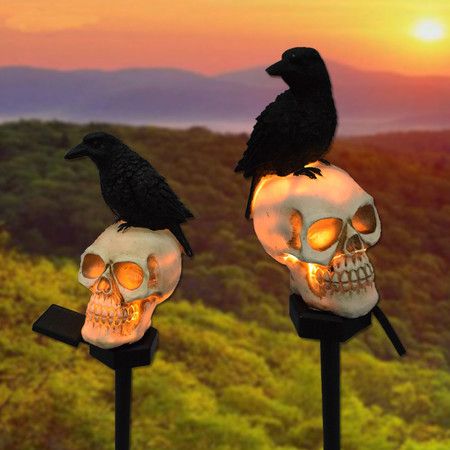 https://img.bestdeals.co.nz/products_pictures/810/81009_774049_F.jpg