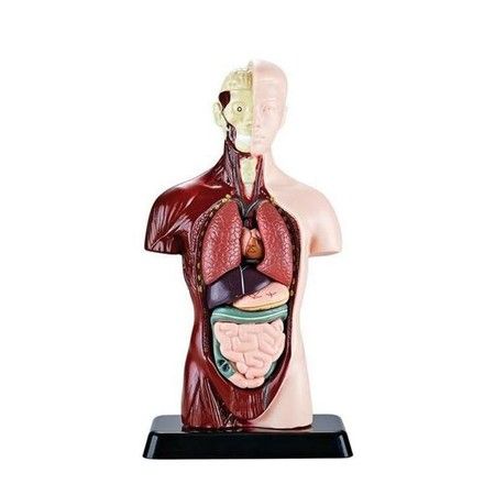 https://img.bestdeals.co.nz/products_pictures/812/81209_797362_F.jpg