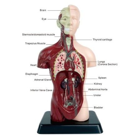 https://img.bestdeals.co.nz/products_pictures/812/81209_797363_F.jpg