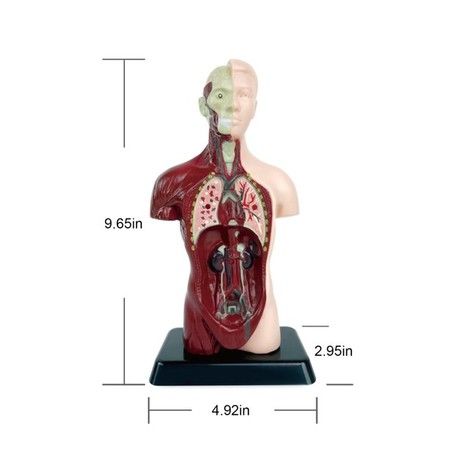 https://img.bestdeals.co.nz/products_pictures/812/81209_797364_F.jpg