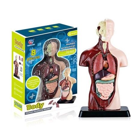 https://img.bestdeals.co.nz/products_pictures/812/81209_797365_F.jpg