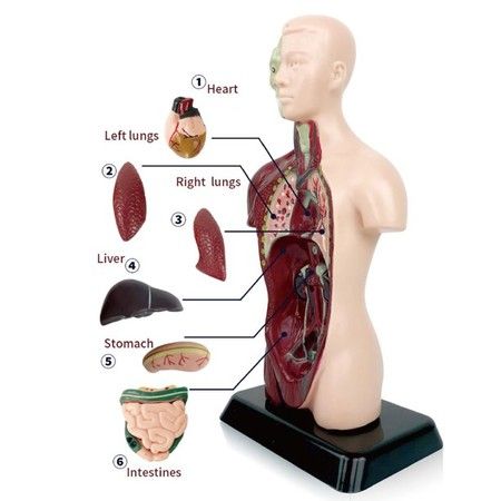 https://img.bestdeals.co.nz/products_pictures/812/81209_797368_F.jpg
