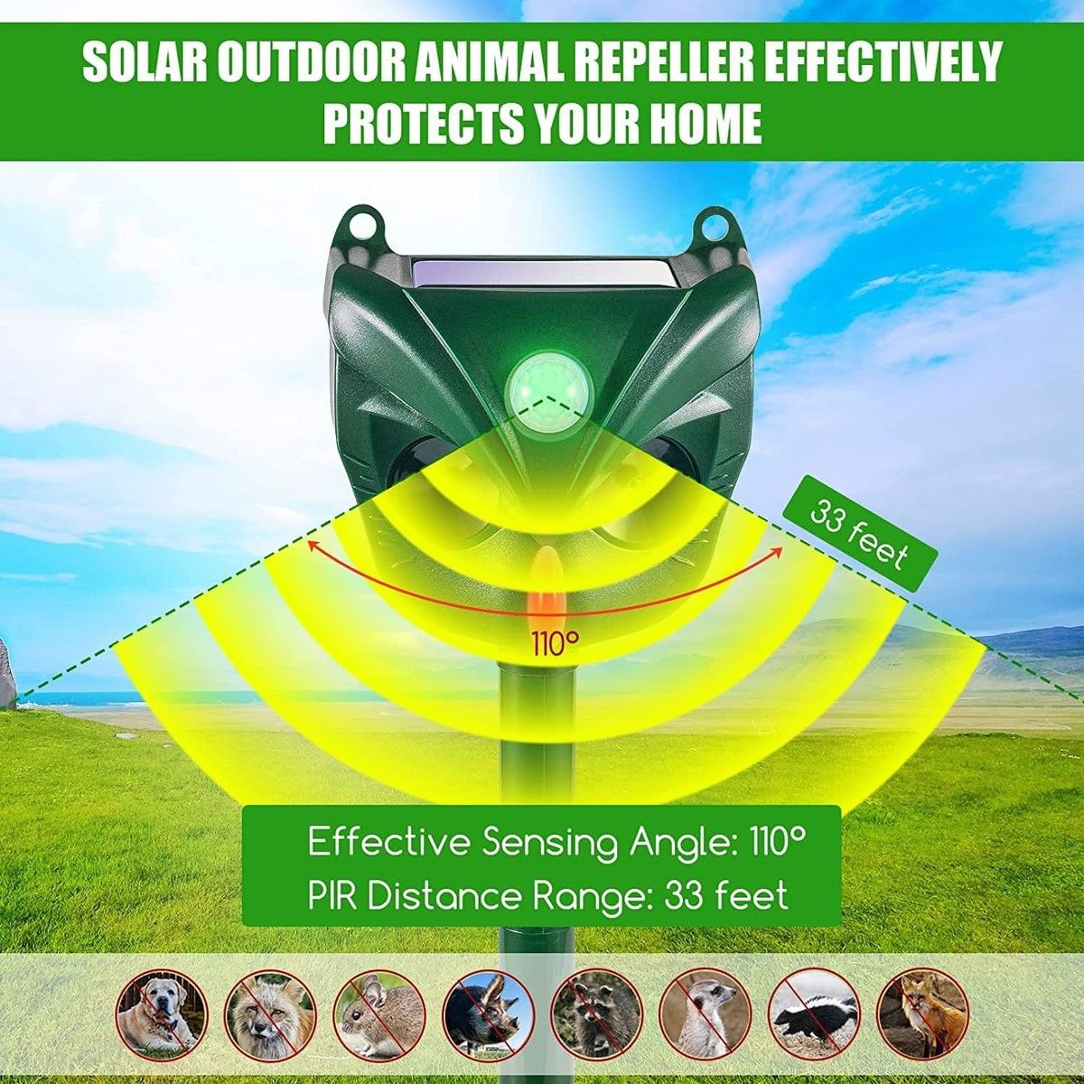 https://img.bestdeals.co.nz/products_pictures/812/81222_775475_F.jpg