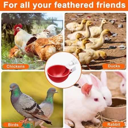 https://img.bestdeals.co.nz/products_pictures/812/81256_775712_F.jpg