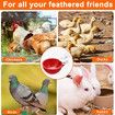 Automatic Chicken Water Feeders with Saw for Buckets and Boxes(5-Pack) - Perfect for Poultry, Ducks, Geese, Turkeys, and Bunnies