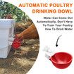 Automatic Chicken Water Feeders with Saw for Buckets and Boxes(5-Pack) - Perfect for Poultry, Ducks, Geese, Turkeys, and Bunnies