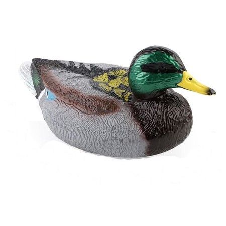 https://img.bestdeals.co.nz/products_pictures/812/81269_775815_F.jpg