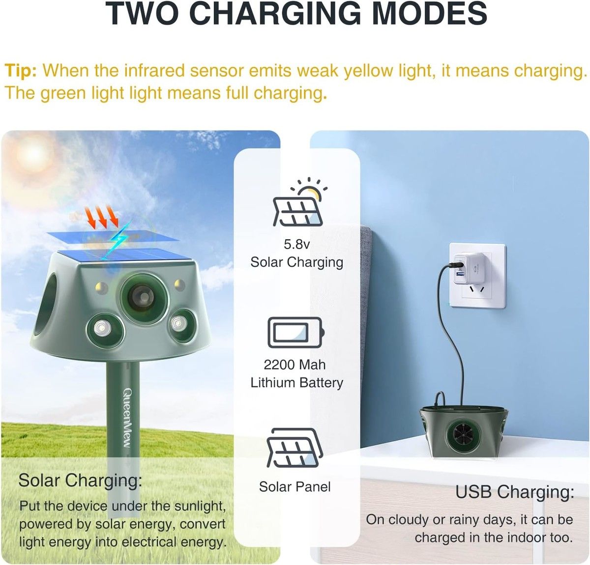 https://img.bestdeals.co.nz/products_pictures/812/81283_775896_F.jpg