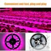 3M Waterproof LED Plant Grow Light Strips Growing Lamp: Full Spectrum Lighting for Indoor Gardening