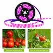 3M Waterproof LED Plant Grow Light Strips Growing Lamp: Full Spectrum Lighting for Indoor Gardening