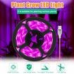 3M Waterproof LED Plant Grow Light Strips Growing Lamp: Full Spectrum Lighting for Indoor Gardening