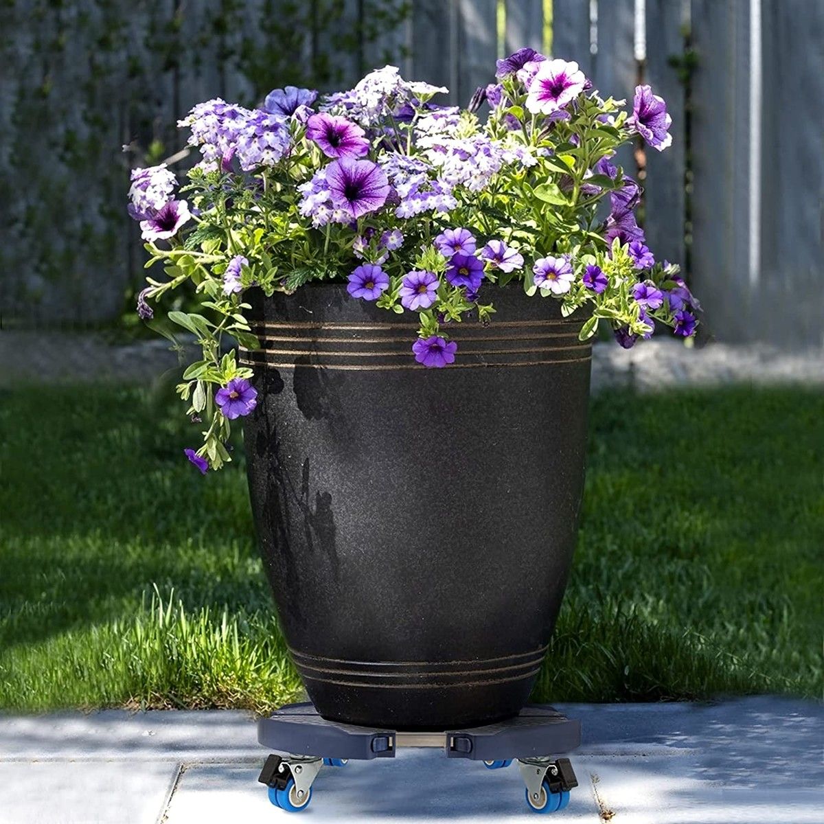 https://img.bestdeals.co.nz/products_pictures/813/81349_776384_F.jpg