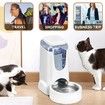 2-Pack Automatic Cat Feeder and Water Dispenser with Stainless Steel Bowls - Keep Your Small and Medium Pets Fed and Hydrated(White)