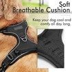 No-Pull Dog Harness with Reflective Safety,2 Leash Clips,Adjustable Soft Padded Vest,Easy Control(Large Size,Black)