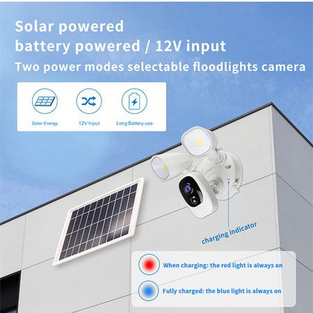 https://img.bestdeals.co.nz/products_pictures/813/81372_776545_F.jpg