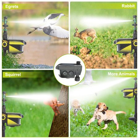 https://img.bestdeals.co.nz/products_pictures/814/81419_797743_F.jpg