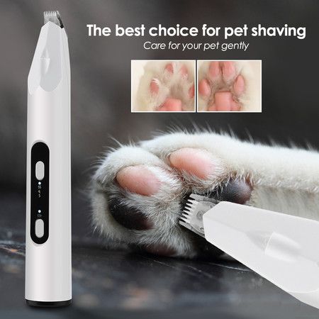 https://img.bestdeals.co.nz/products_pictures/814/81424_797769_F.jpg