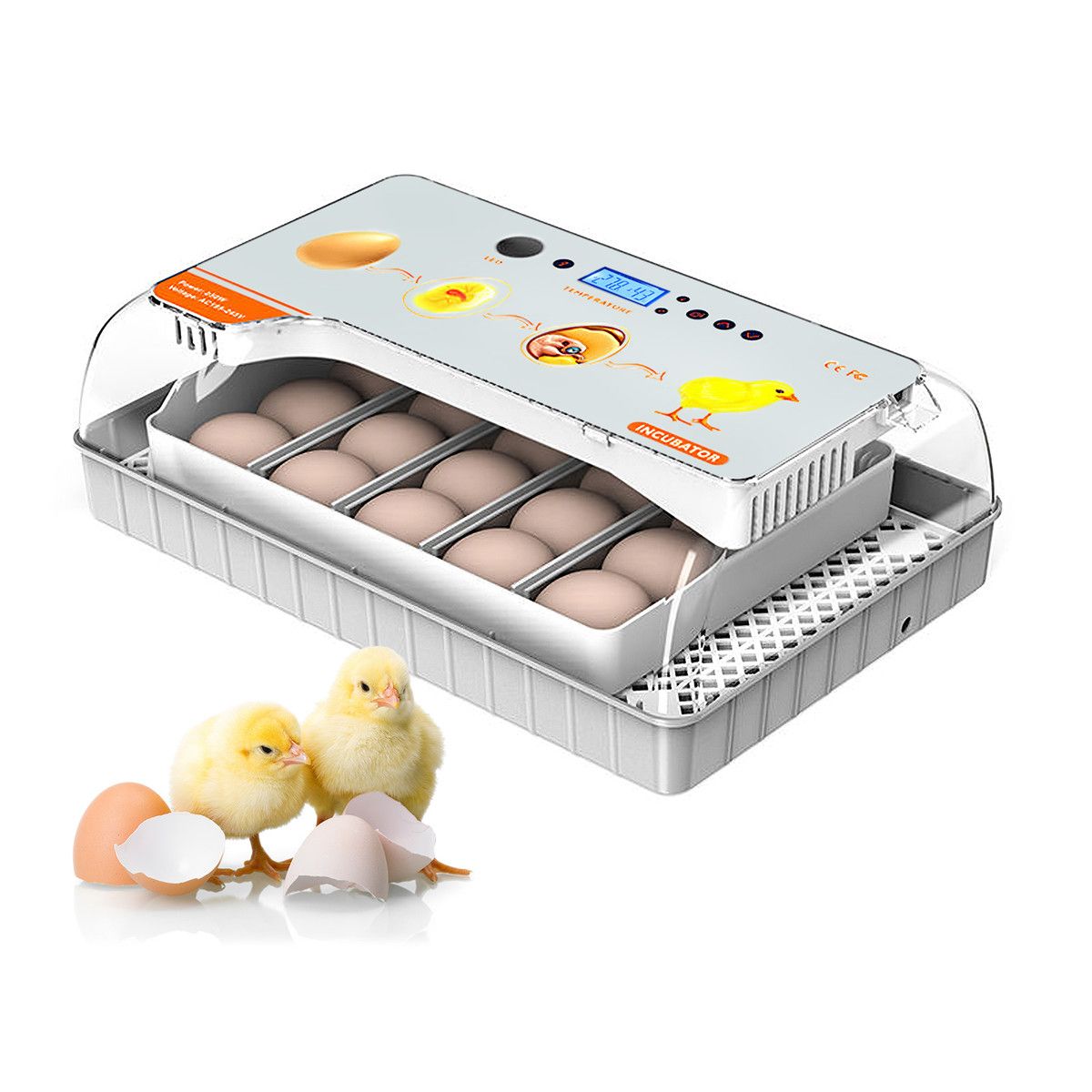 https://img.bestdeals.co.nz/products_pictures/814/81463_797949_F.jpg