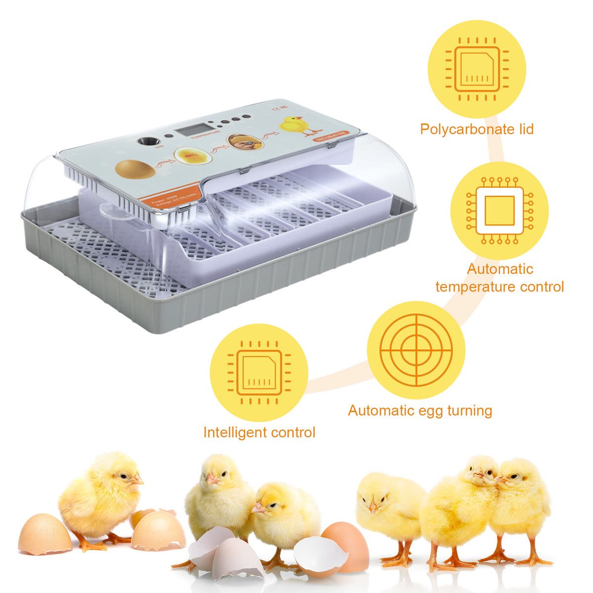 https://img.bestdeals.co.nz/products_pictures/814/81463_797951_F.jpg
