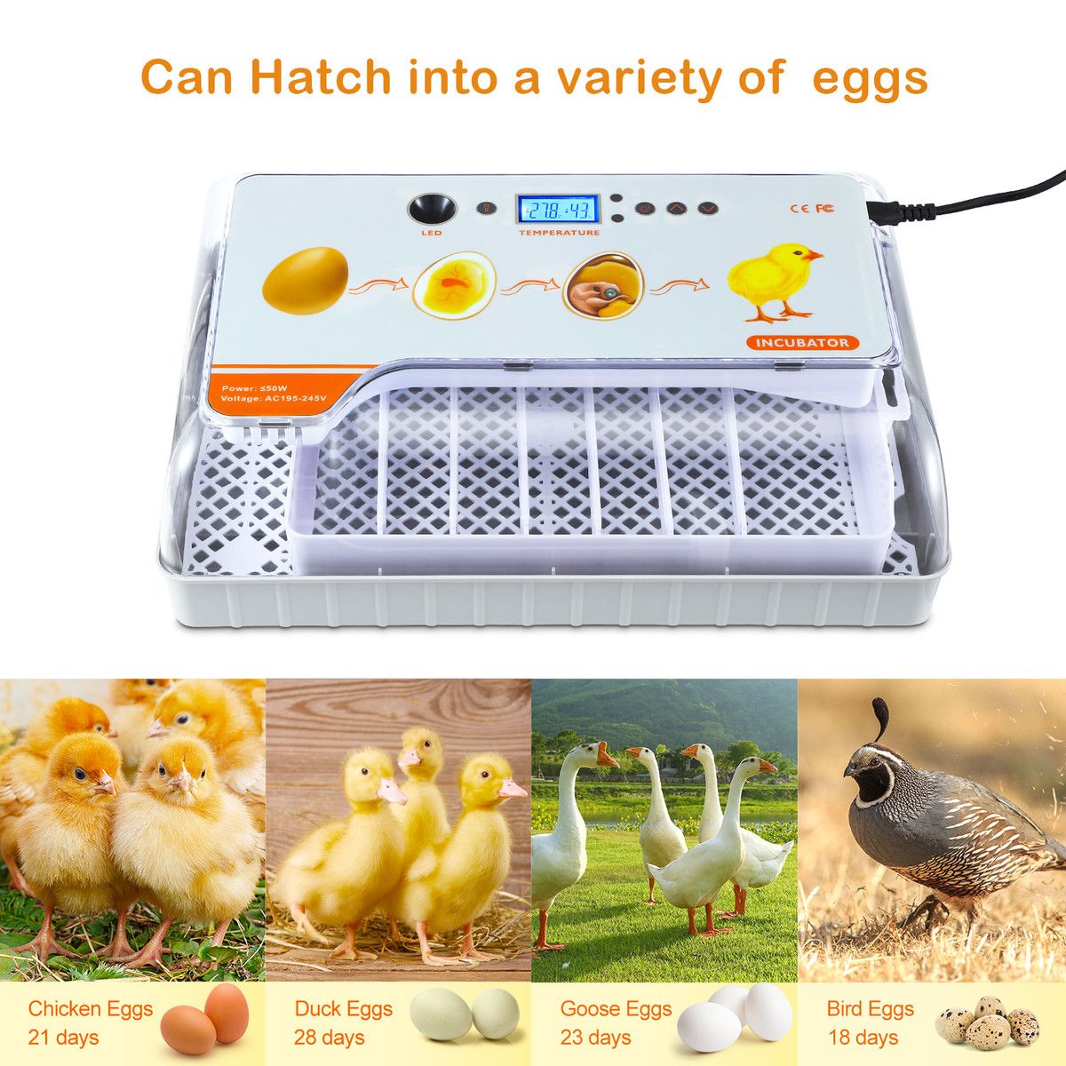 https://img.bestdeals.co.nz/products_pictures/814/81463_797952_F.jpg