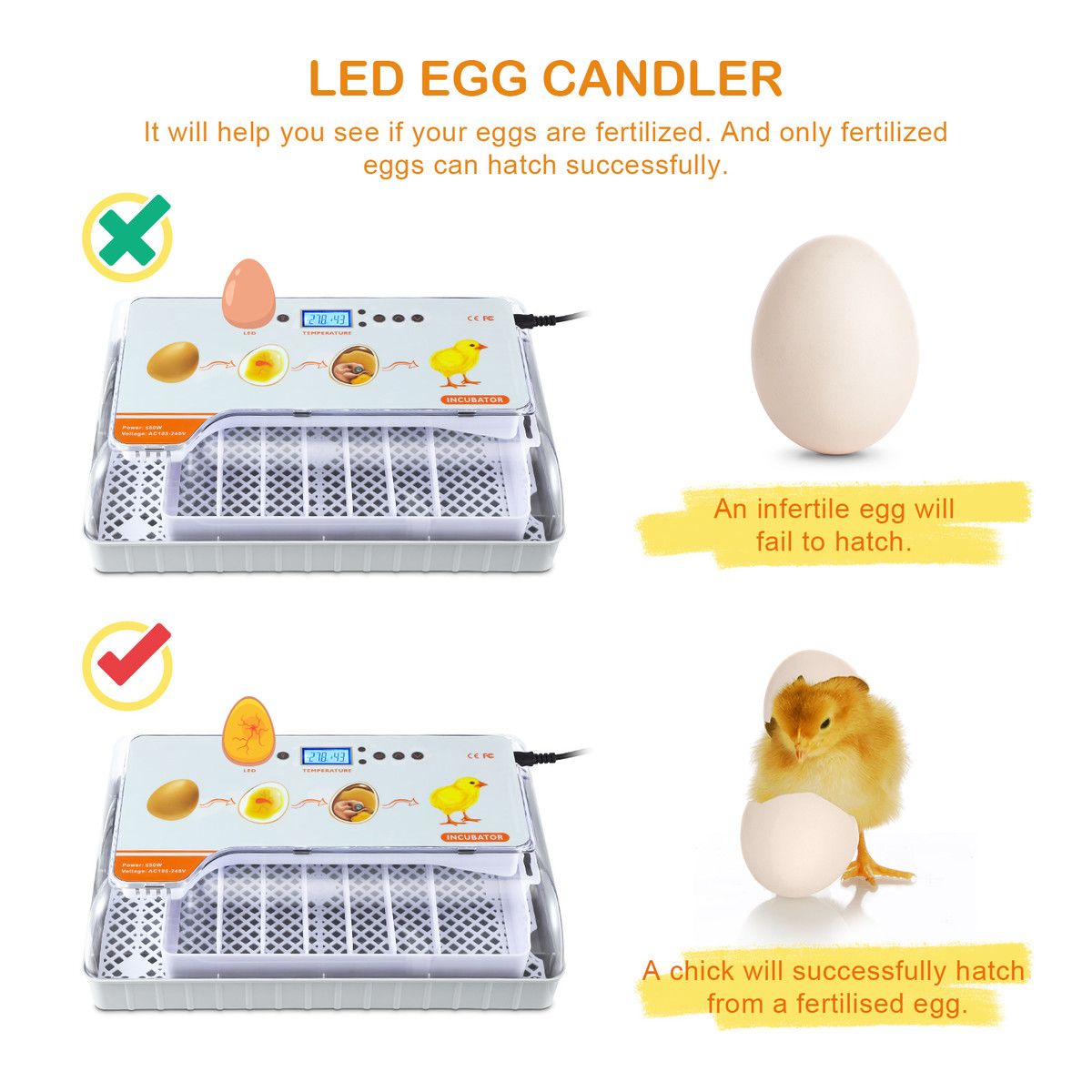 https://img.bestdeals.co.nz/products_pictures/814/81463_797953_F.jpg