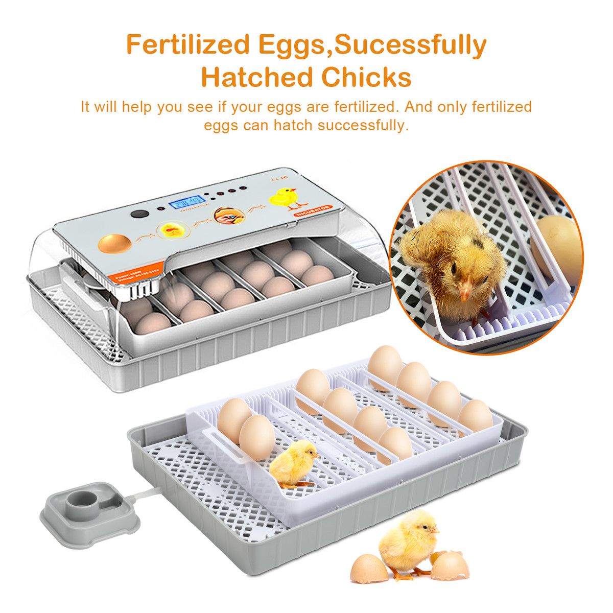 https://img.bestdeals.co.nz/products_pictures/814/81463_797954_F.jpg