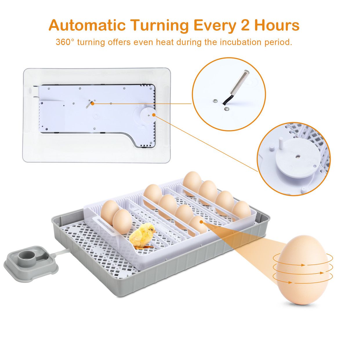 https://img.bestdeals.co.nz/products_pictures/814/81463_797955_F.jpg